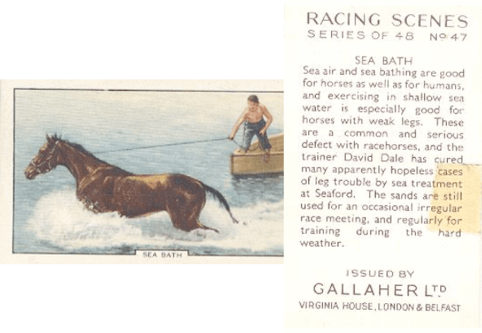 Matchbox illustration depicting a horse being trained in the sea at Tide Mills